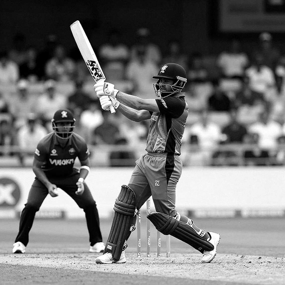 Gold Under a Cricket Label: An Audit of 22 Information Points