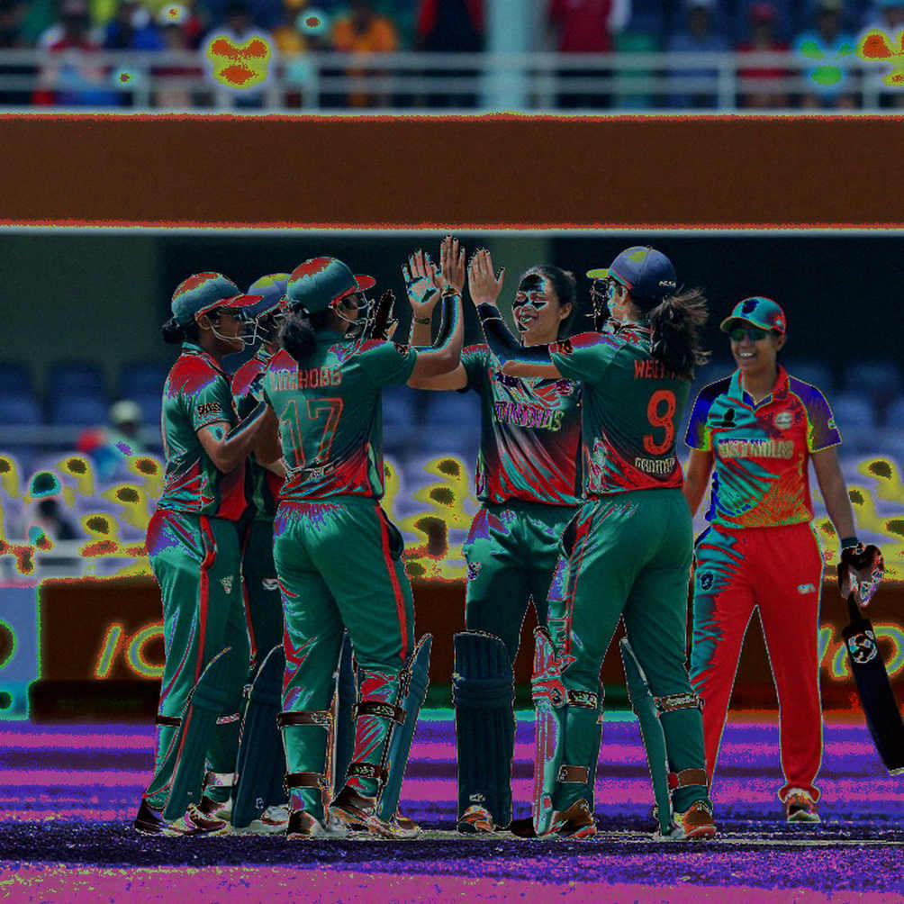 The Null Payload: When an Asian Cricket Desk's Audit Came Back Reading N/A